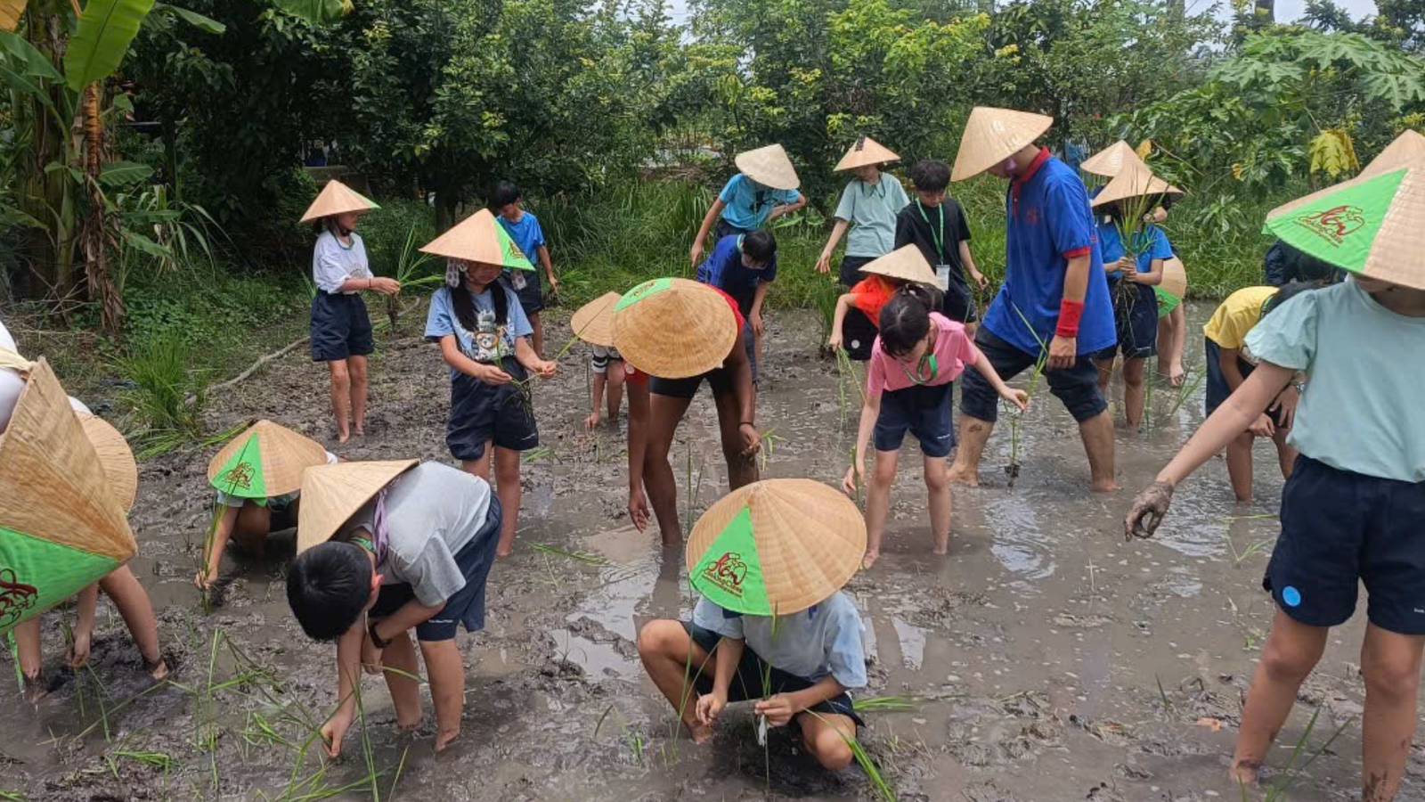 Một Ngày Làm Nông Dân Và Khám Phá Địa Đạo Củ Chi  (3)